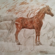 Рыжий конь 