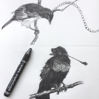 birds (2 работы)