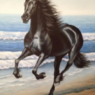 Вороной конь.  Black horse