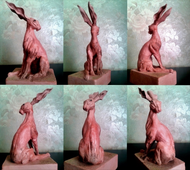 "royal hare"