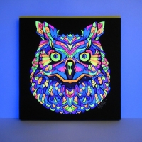 Owl Сова