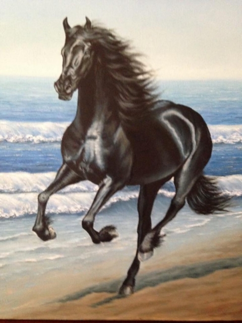 Вороной конь.  Black horse