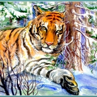 тигр зимой