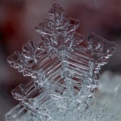 beautiful_snowflakes_1.jpg