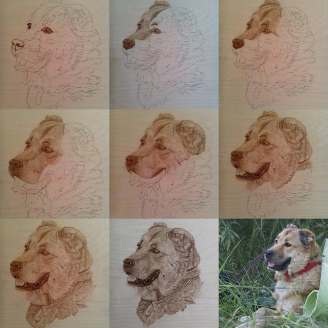 Портрет собаки Ляли