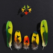intricate-feather-cutouts-chris-maynard-1.jpg