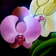 орхидеи