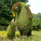 park-garden-sculpture-topiaria-1.jpg