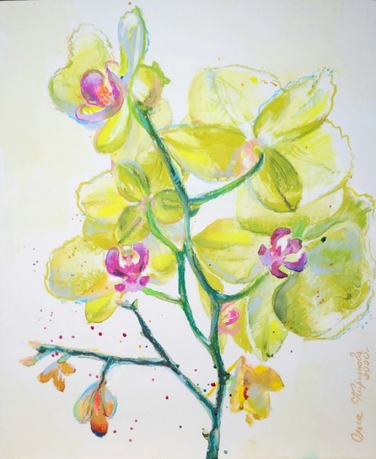"Лимонная орхидея"