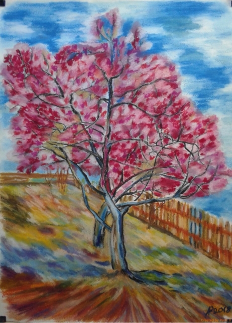 Цветущие персиковые деревья