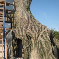 дерево из бетона г. Владимир