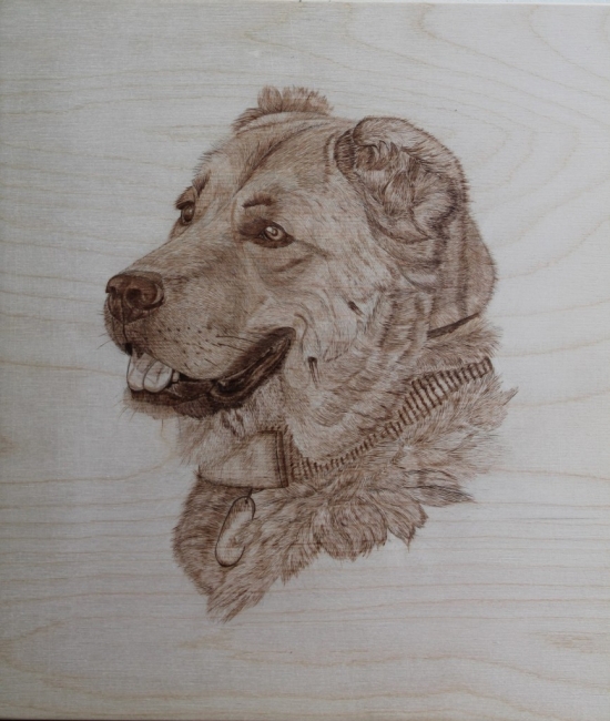 Портрет собаки Ляли