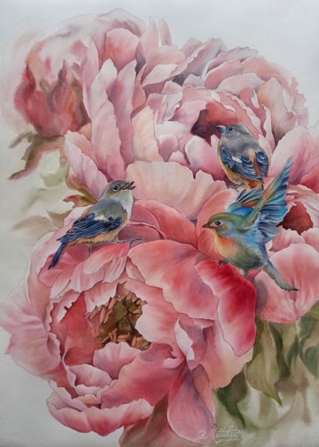 Розовые пионы с птичками