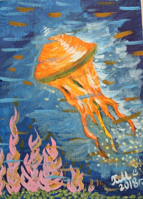 Floating jellyfish