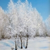 Зима в Тальменке