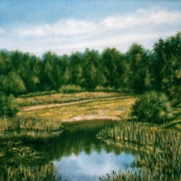 Озеро с камышами / A Lake with the Reeds