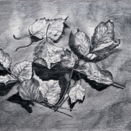 Сухие листья  / The Dry Leaves