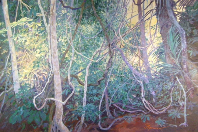 Лиановый лес