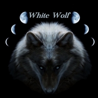 Фото Художника - White Wolf (A.G.)  / white-wolf-ag