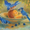 Птички и апельсин