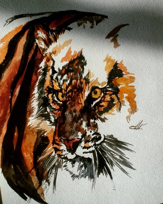 Тигр-добыча