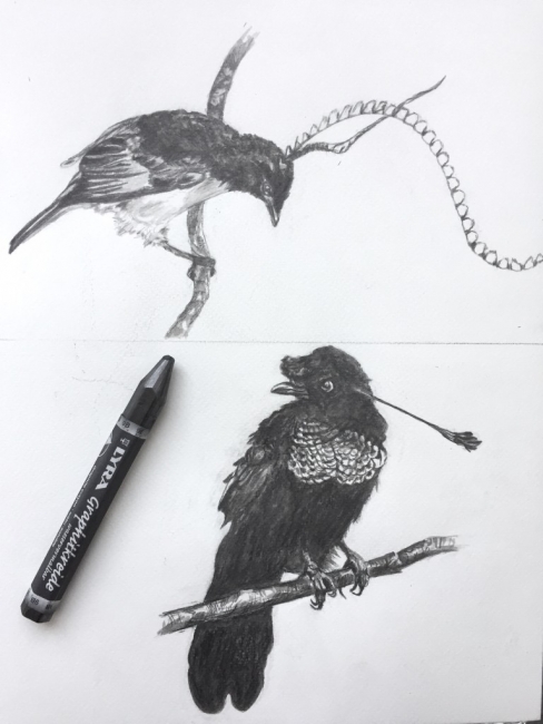 birds (2 работы)