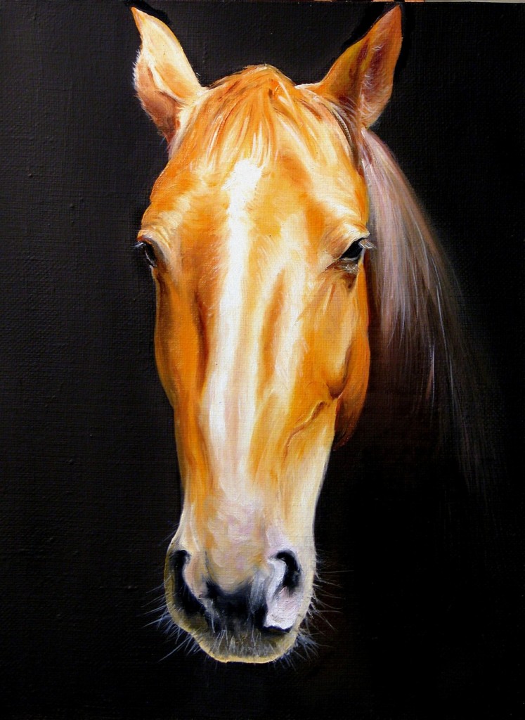 Голова лошади | Живопись | Автор: Sandro - DotArt.info