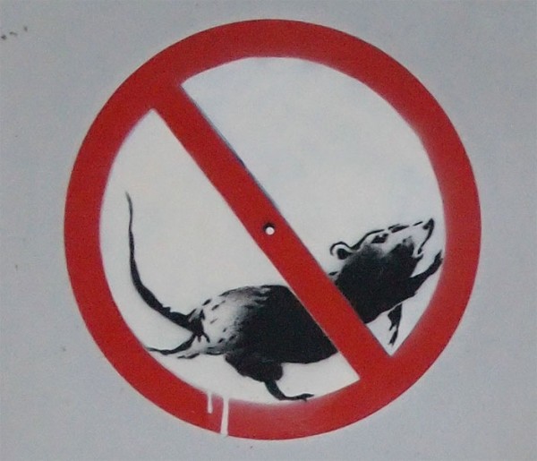 rats_banksy_5.jpg