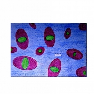 Взаимодействия