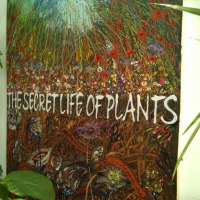 Тайная жизнь растений