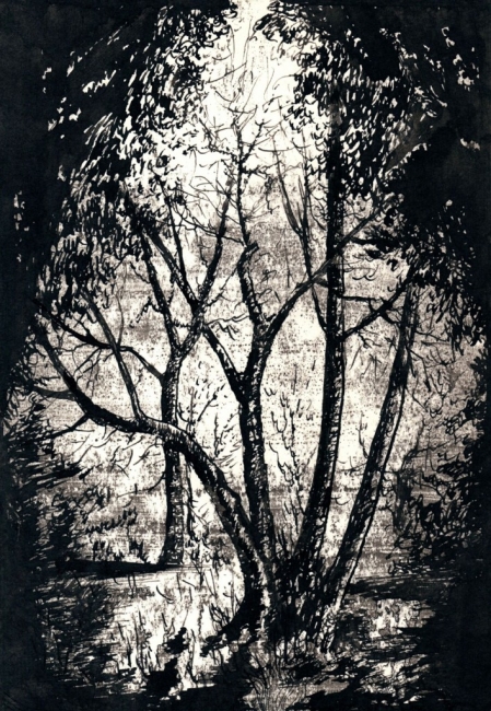 Лесные контрасты / The Forest Contrasts 