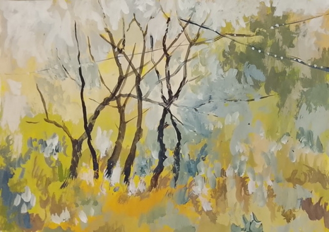 Туман и солнце