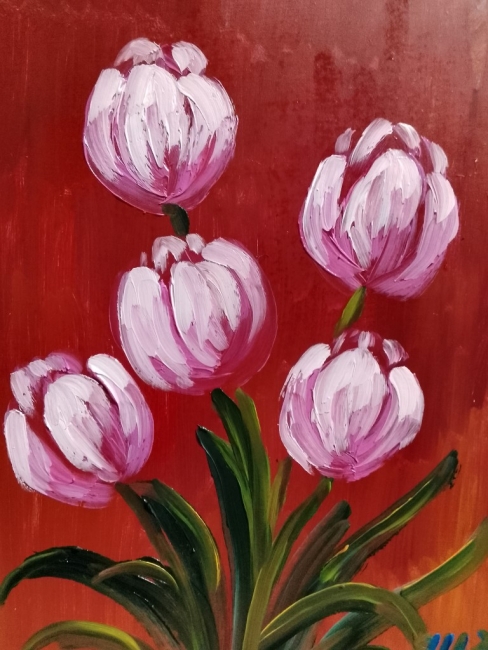 Тюльпаны