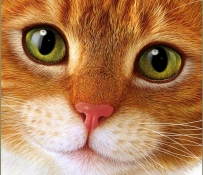 Траншфо Эрик (Eric Tranchefeux): разные миры