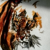 Тигр-добыча
