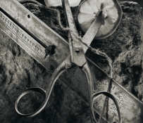 Штейн Вадим (Vadim Stein): Свет и тени