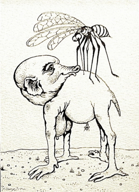 Здравствуй, комар!