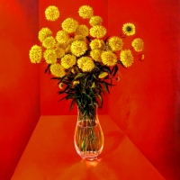 Жёлтые цветы на красном / Yellow Flowers on Red 