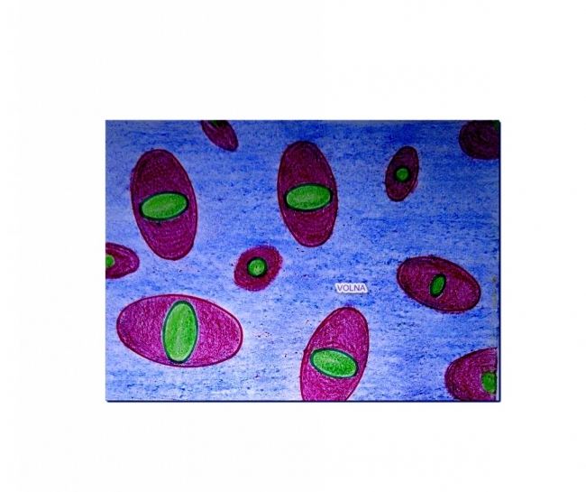 Взаимодействия