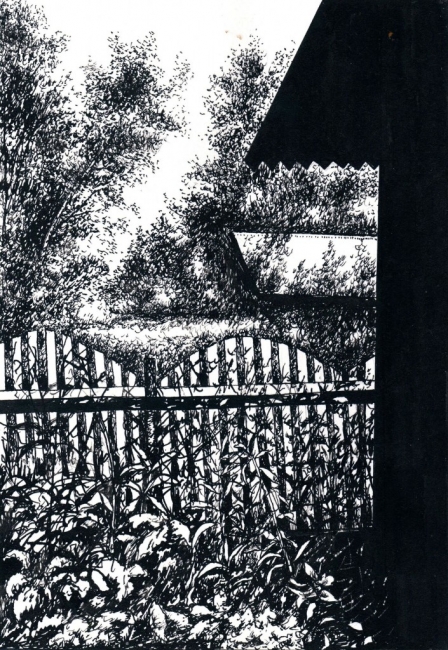 За баней / Behind the Bathhouse