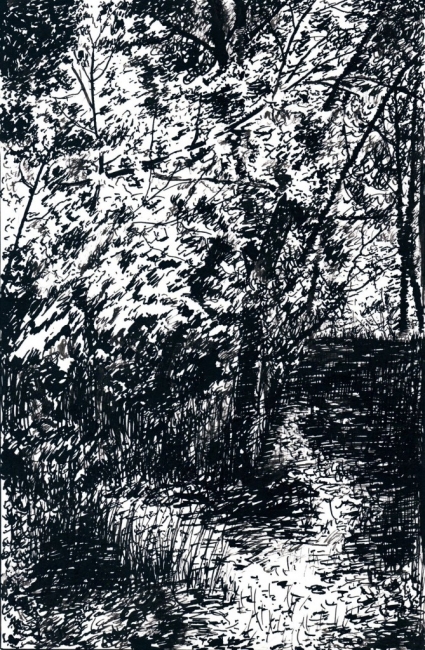 Самое летнее лето / The Summeriest Summer