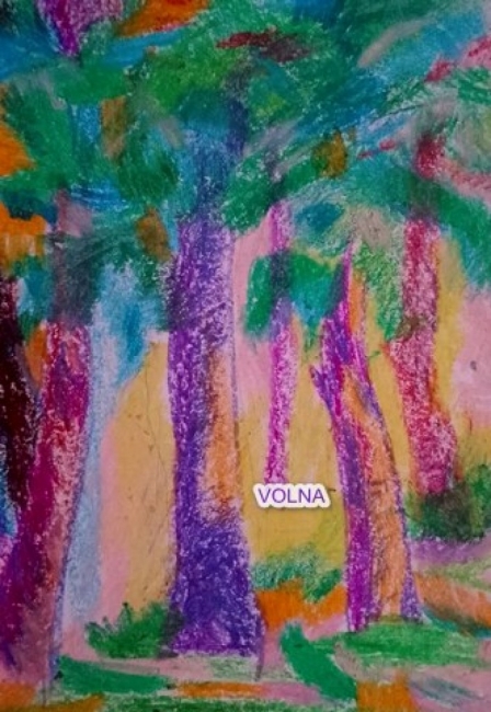 дубрава на заре