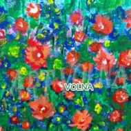 чудесный день