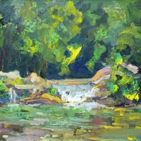 Водопад в лесу. Пленэр ZhNataly