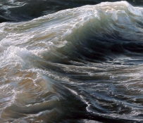 Орнер Рэн (Ran Ortner): Сердце океана