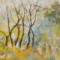 Туман и солнце