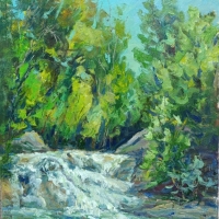 Полноводный водопад, после тропического ливня. Пленэр ZhNataly