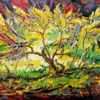 Летний вечер