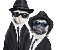 Famous Faces