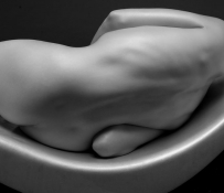 Блум Сильвия: Раненая нежность